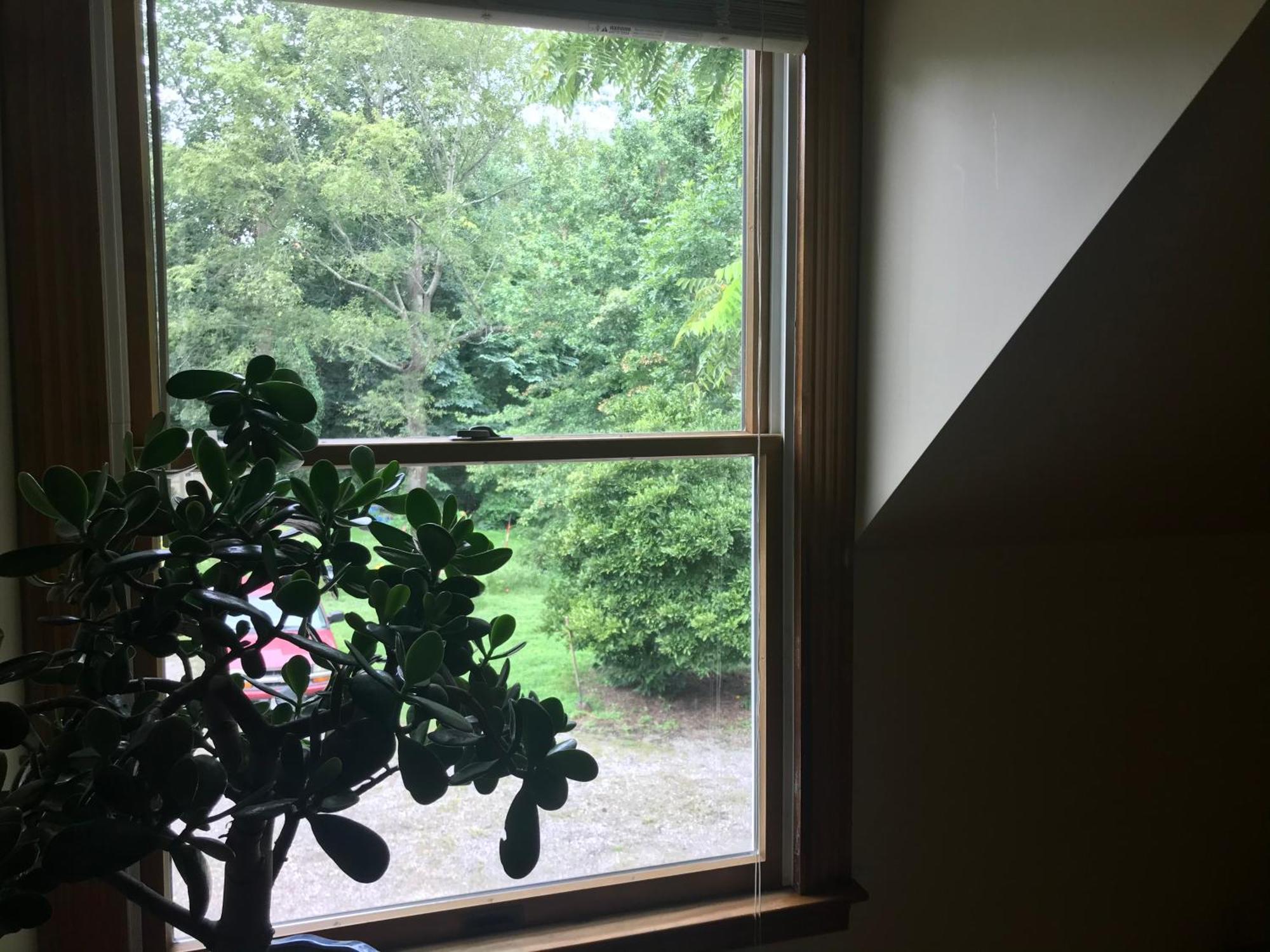 Carriage House Hideaway In Center Of チェスタータウン エクステリア 写真